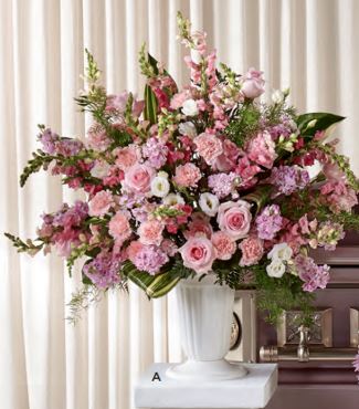 Sympathy in Pink -Tribute (S10-A)