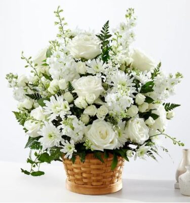 Light and Bright (S4-D)